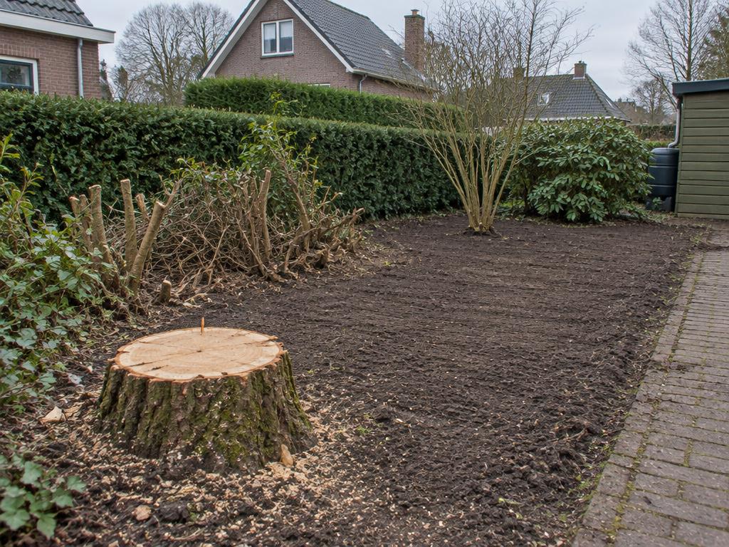 Afgezaagde boomstronk in een vrijgemaakt tuinbed